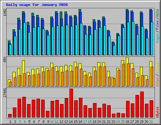 Daily usage for January 2026