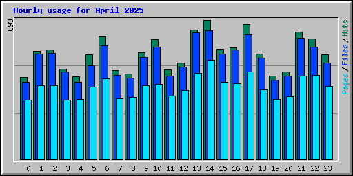 Hourly usage for April 2025