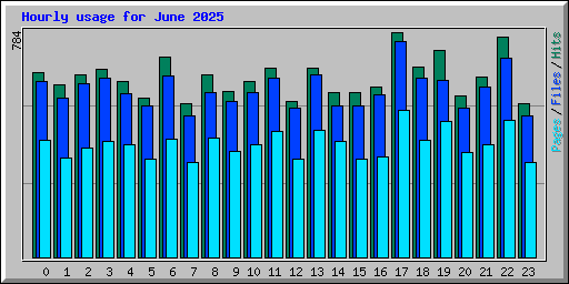 Hourly usage for June 2025