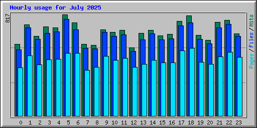 Hourly usage for July 2025