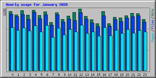 Hourly usage for January 2026
