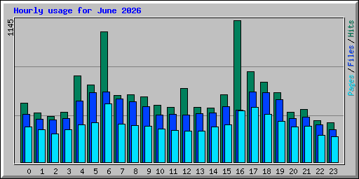 Hourly usage for June 2026